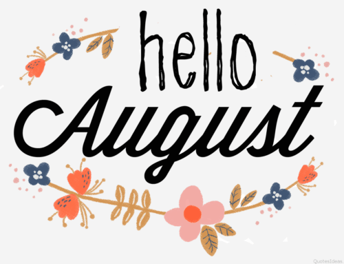 August 2019 Newsletter