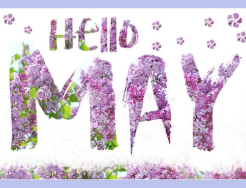 May 2022 Newsletter