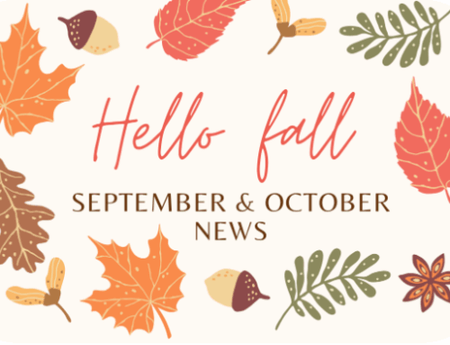 October and November Newsletter